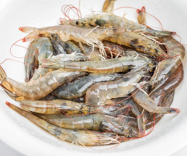 White Shrimps (Vannemai Shrimp)